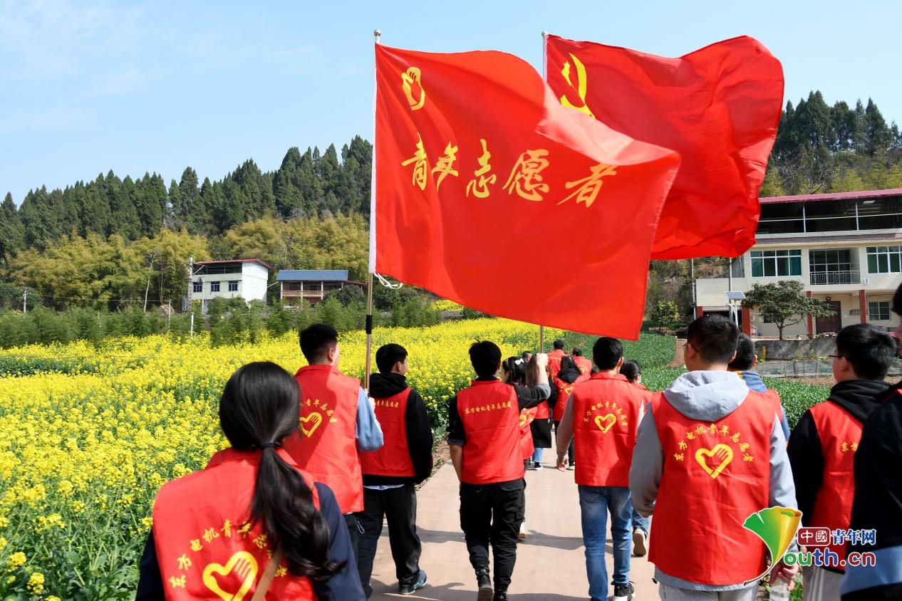 ��Ȧ-Ϊdu�����������