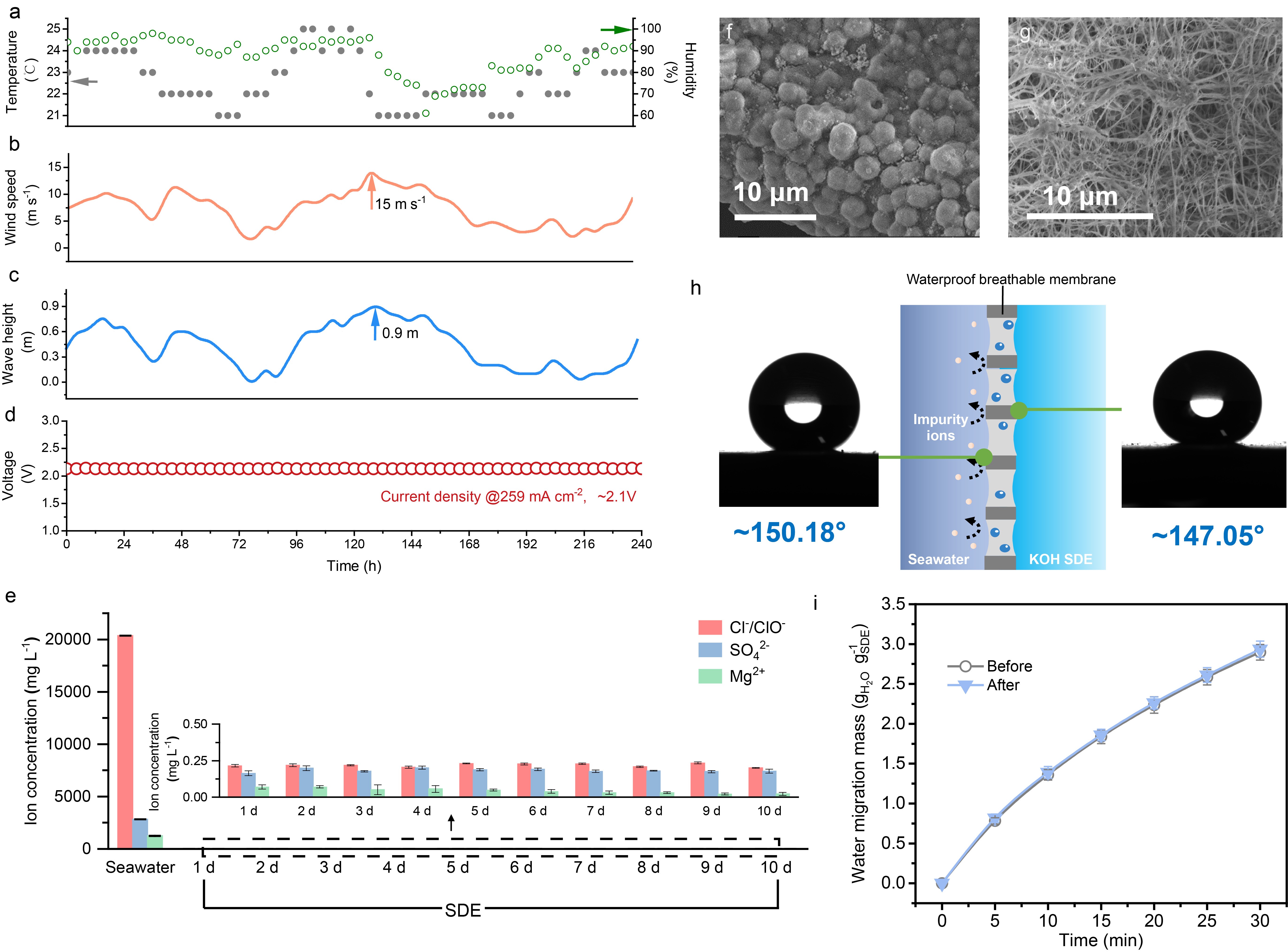 ��Ȧ-Ϊdu�����������