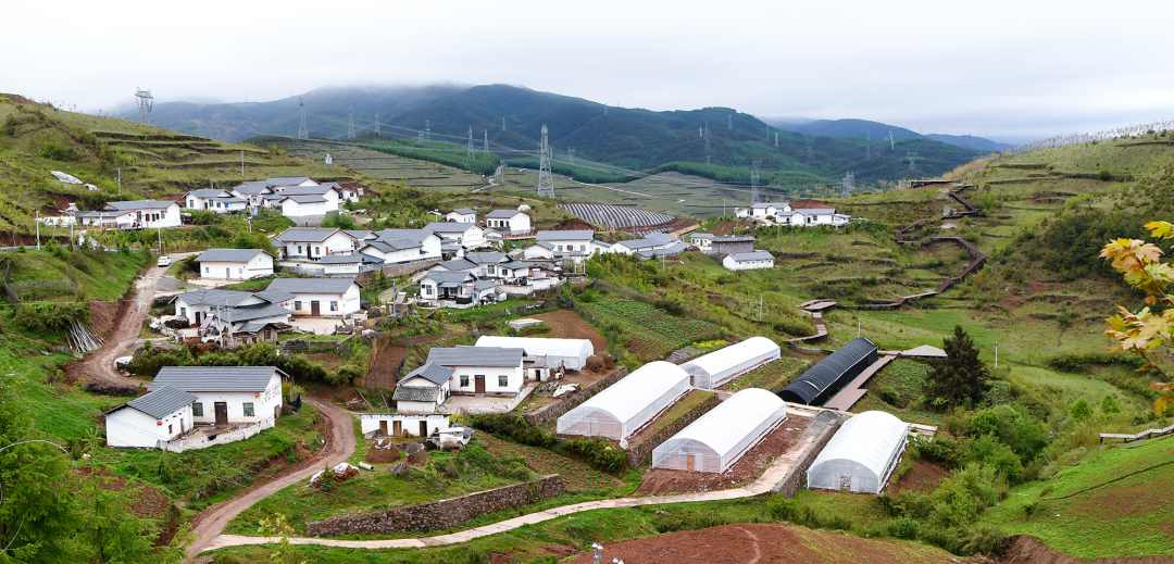 ��Ȧ-Ϊdu�����������