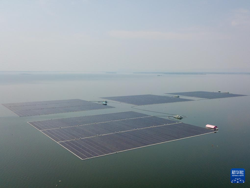 ��Ȧ-Ϊdu�����������