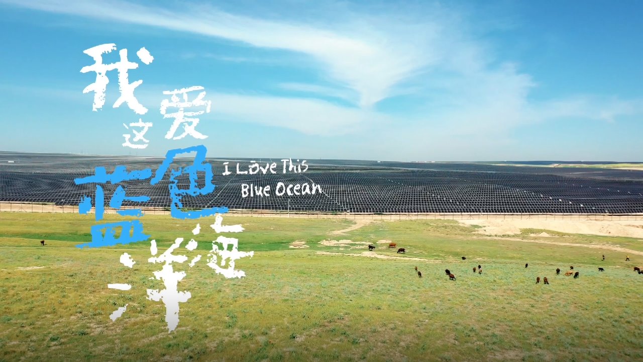 ��Ȧ-Ϊdu�����������