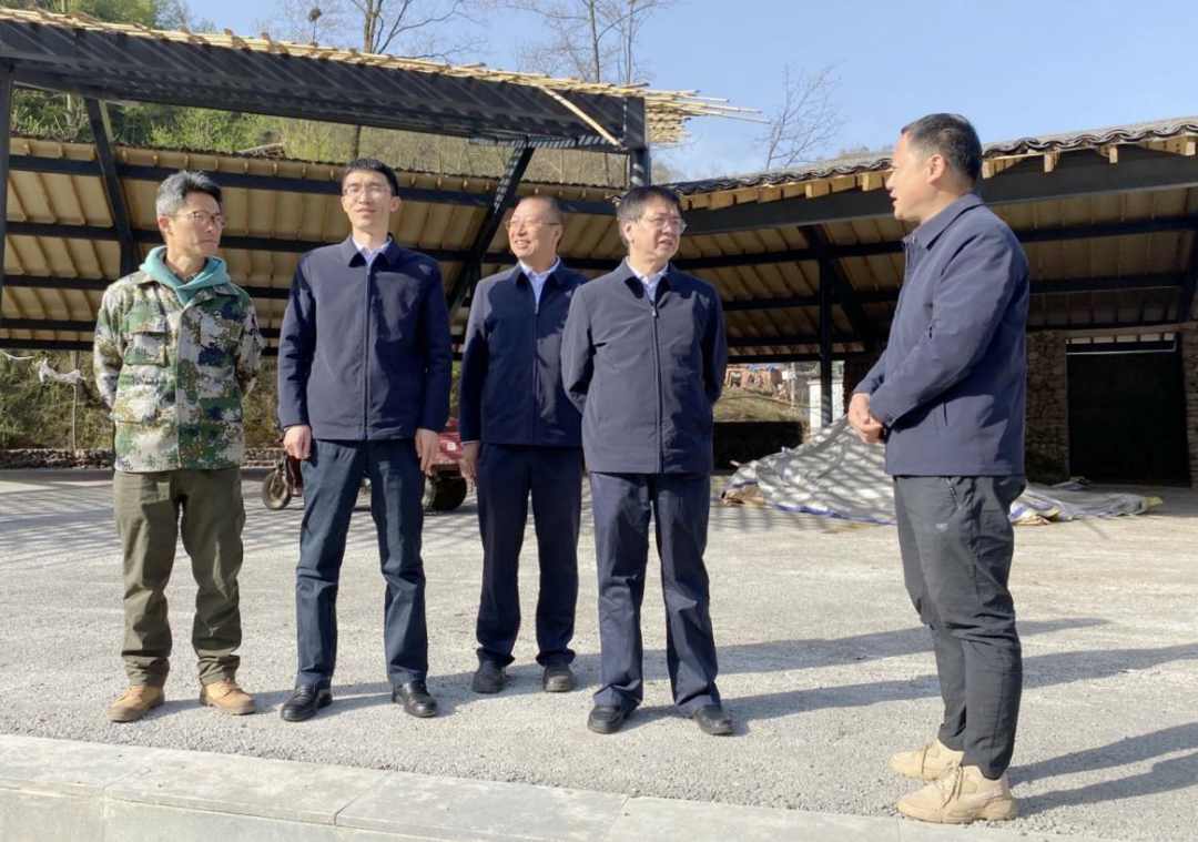 ��Ȧ-Ϊdu�����������