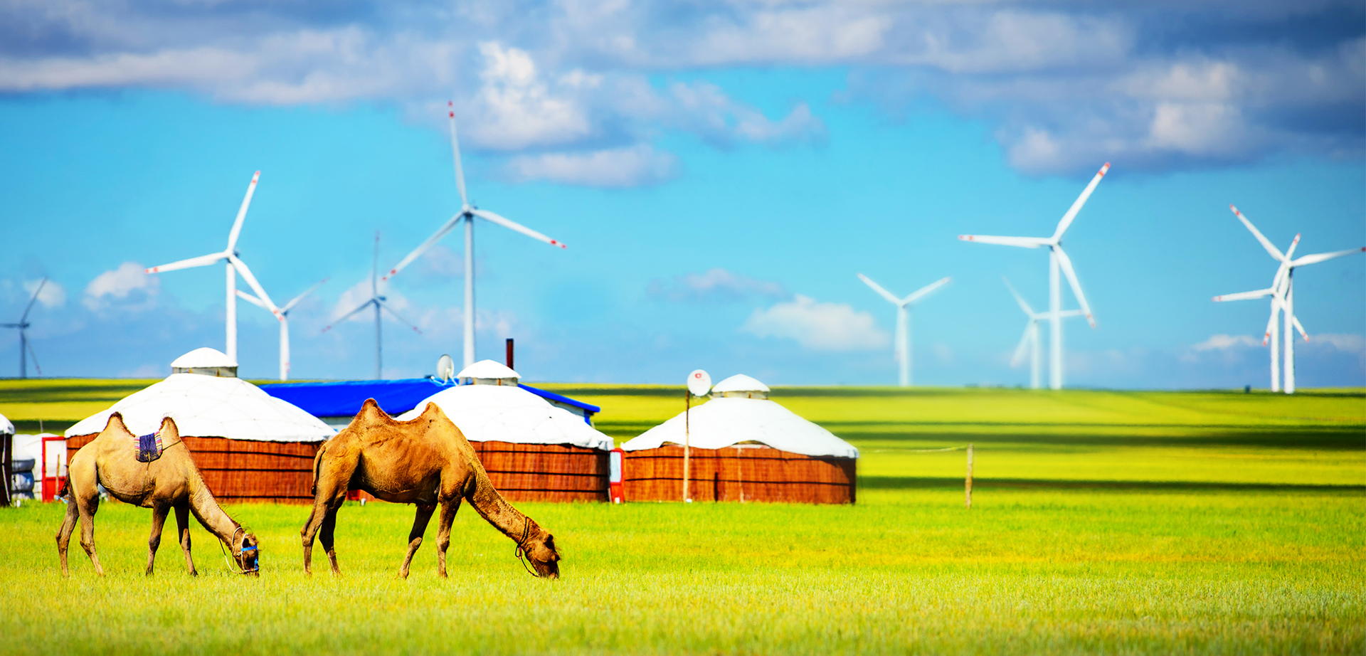 ��Ȧ-Ϊdu�����������