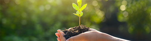 ��Ȧ-Ϊdu�����������